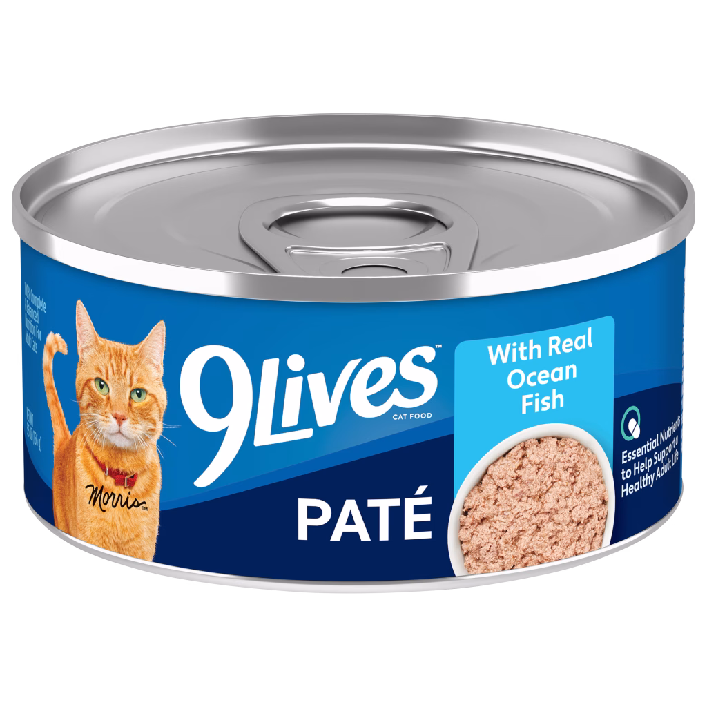 Pate ocean fish wet cat food single can
