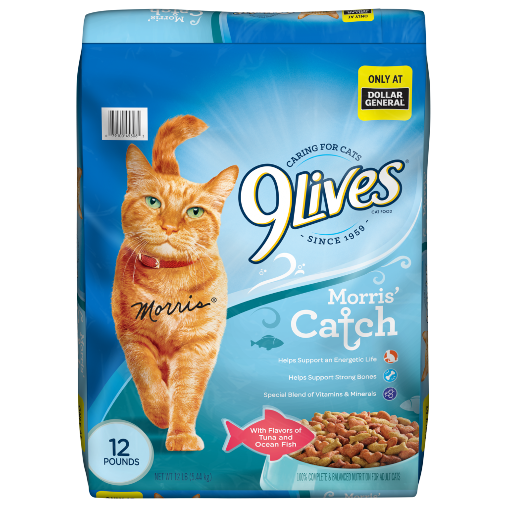 9Lives Morris' Catch Dry Cat Food