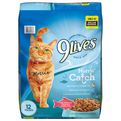 9Lives Morris' Catch Dry Cat Food