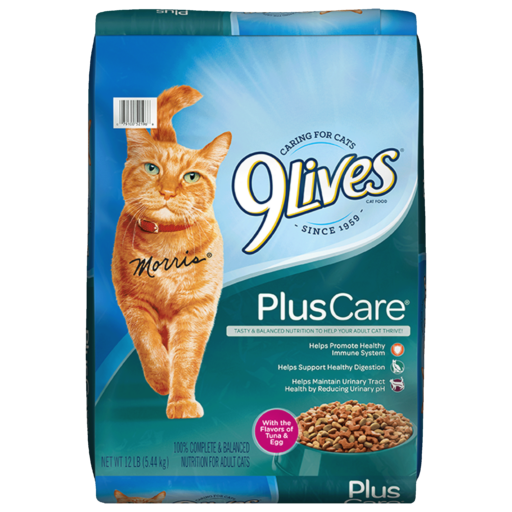 9Lives PlusCare Dry Cat Food 3LB