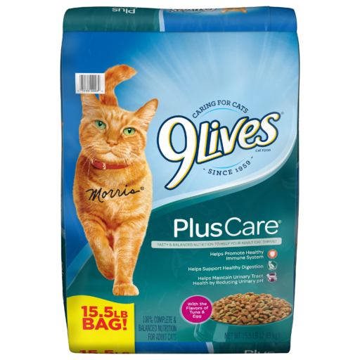 9Lives PlusCare Dry Cat Food 3LB