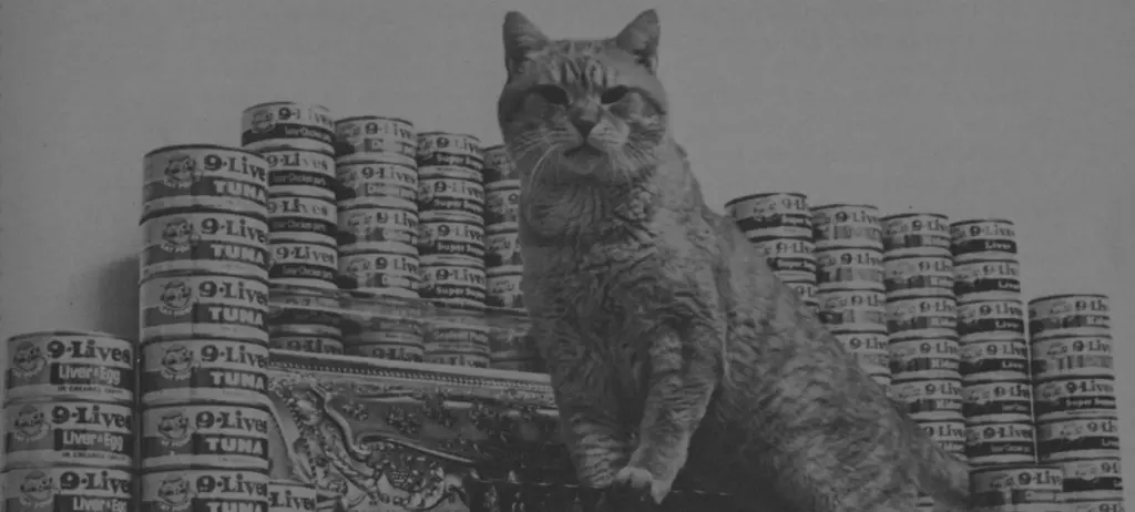 Morris the 9Lives cat next to a stack of wet cat food cans