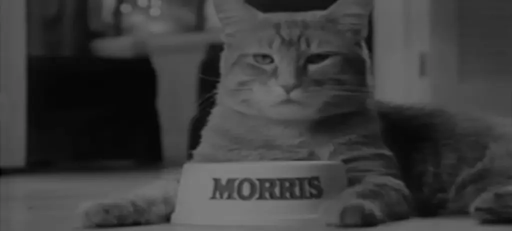 Morris the 9Lives cat next to a food bowl