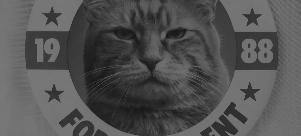 Morris the 9Lives cat for president