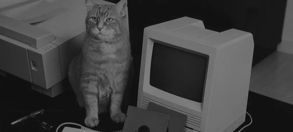 Morris the 9Lives cat next to an old computer