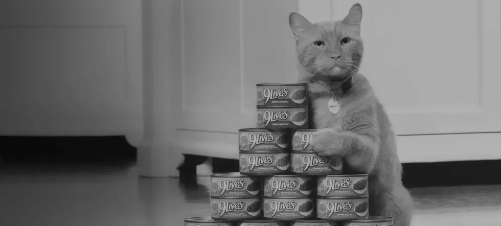 Morris the 9Lives cat with cans of wet food