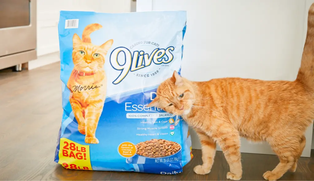 What does “complete and balanced nutrition for adult cats” mean?